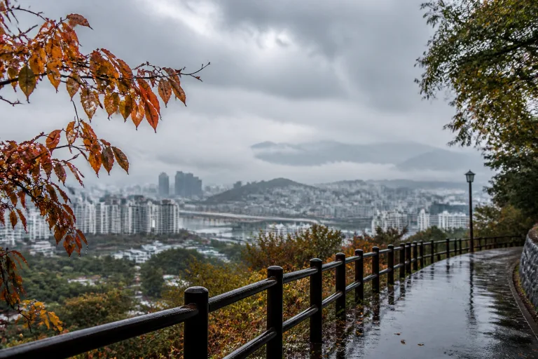 이번 주말까지 '가을 장마' 시작 🌧️ 대구도 드디어 더위 꺾인대요