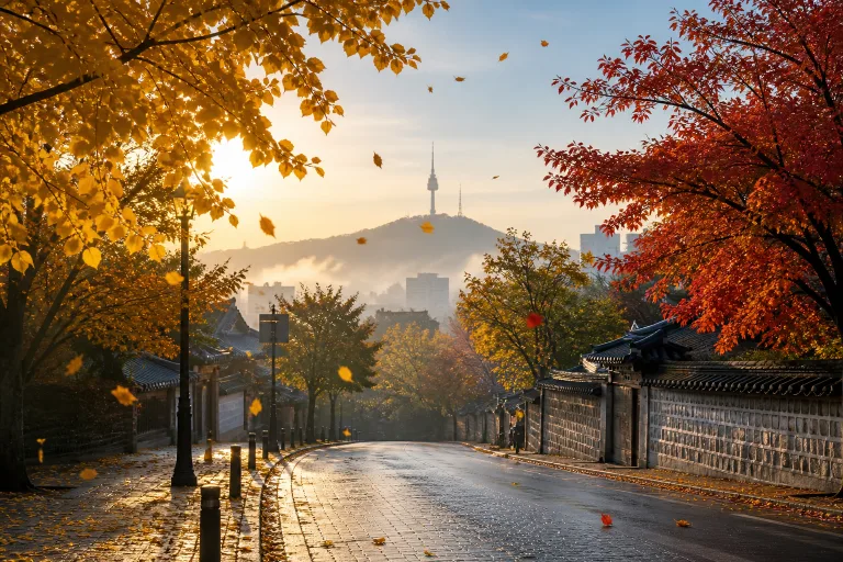 내일 아침엔 쌀쌀, 낮엔 26도…주말엔 전국에 가을비 쏟아져요 🍂